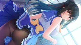【汉化h游戏美少女游戏下载|VIP】秘密之恋（伪）汉化版【7.8G】
