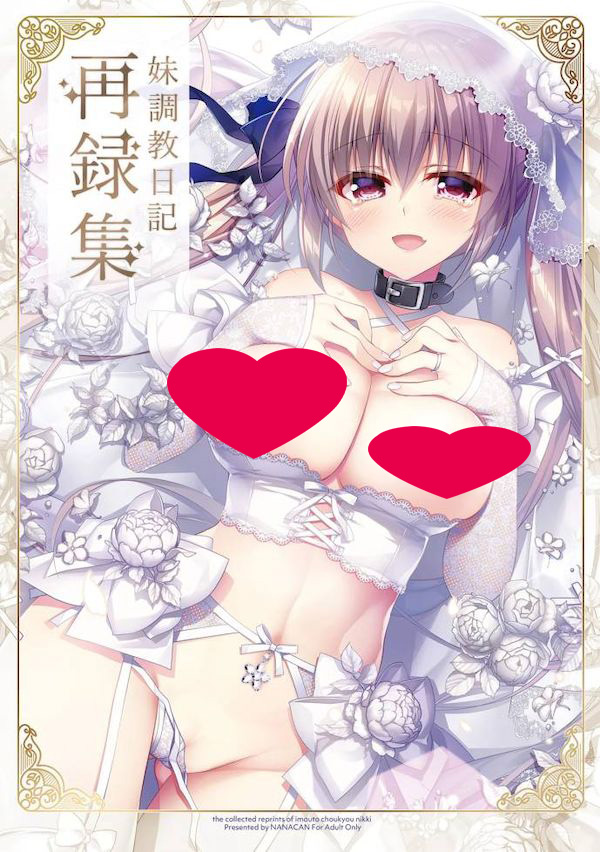 【汉化漫画同人本子下载|VIP】(C99) [NANACAN (ななかまい)] 妹調教日記再録集｜妹调教日记再录集 [DL版]